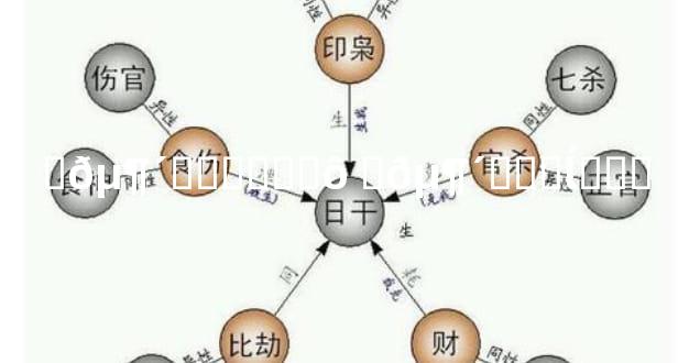 �𵶴�����ʲô �𵶴���ĺ���